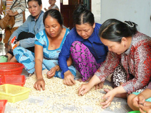 Dariu - Women at work