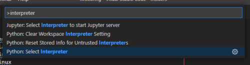 Run &quot;Python: Select Interpreter&quot;
