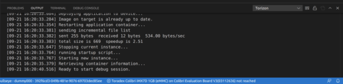 Visual Studio Code Output panel
