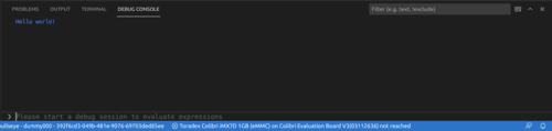 Visual Studio Code Debug Console