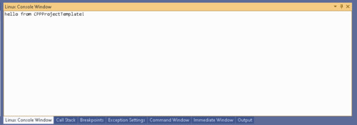 Vs2019 Linux Console