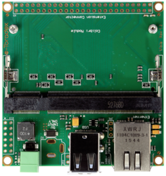 116232-viola-carrier-