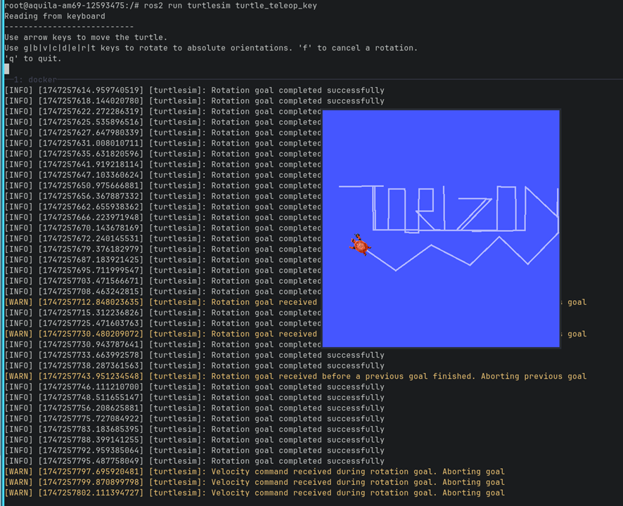 Turtle UI Execution Turtle UI Execution
