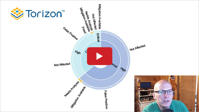 Vulnerability Monitoring with Torizon