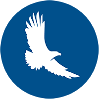 Aquila Family Icon