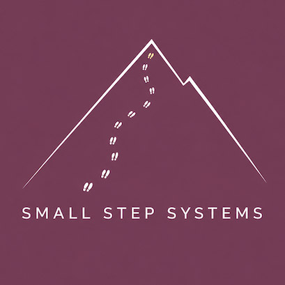 Small Step Systems